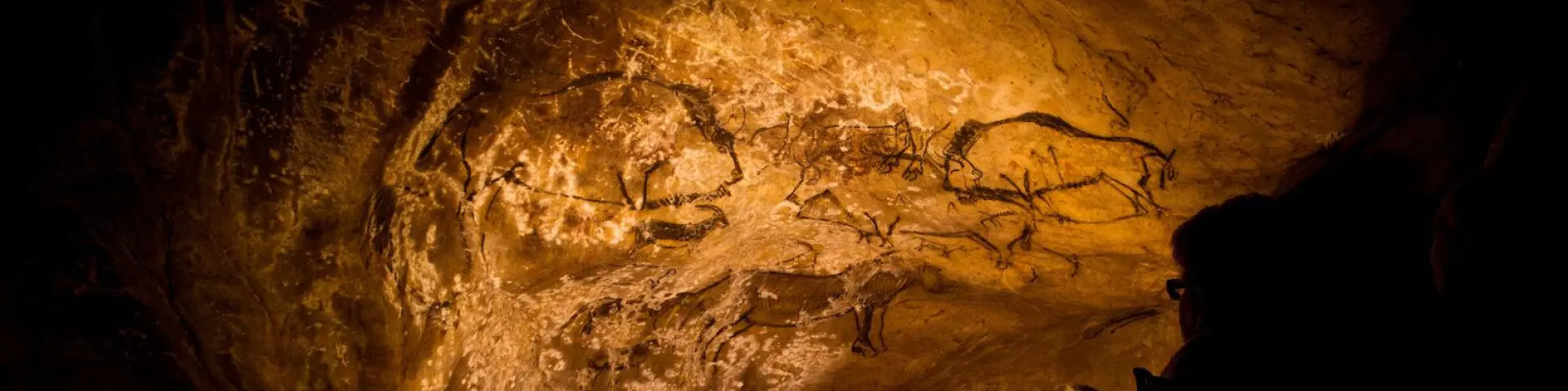 Groupe de personnes observant des peintures rupestres dans une grotte
