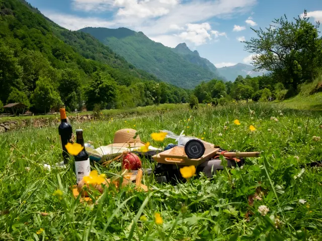 A picnic with wine bottles and baskets in the wilderness