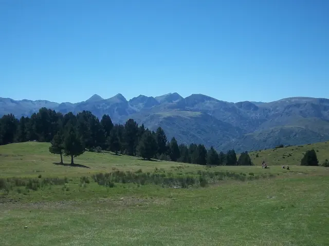 Colinas verdes con árboles y montañas al fondo