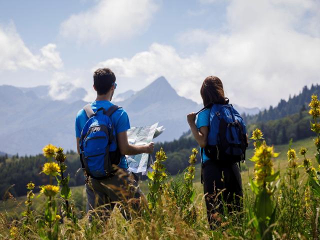 Dos senderistas consultan un mapa en un campo de flores silvestres en la montaña