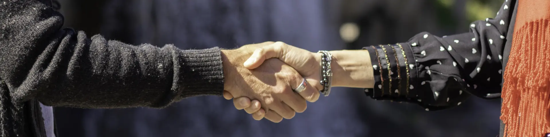 Two people shaking hands in front of a body of water