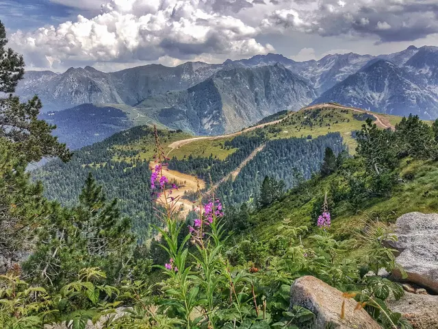 Panoramic view of lush green mountains with wildflowers in the foreground
