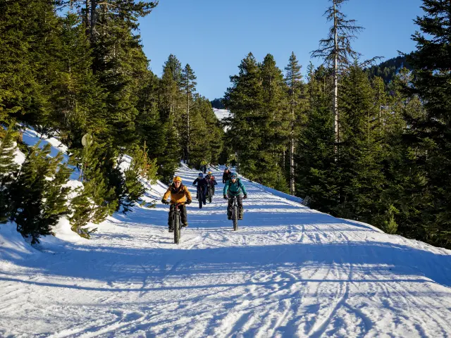 Group of cyclists on a snowy trail in the forest