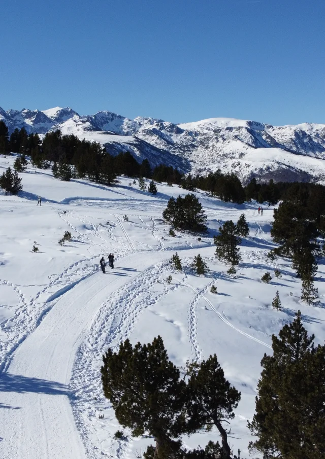 Piste de ski sinueuse dans un paysage montagneux enneigé