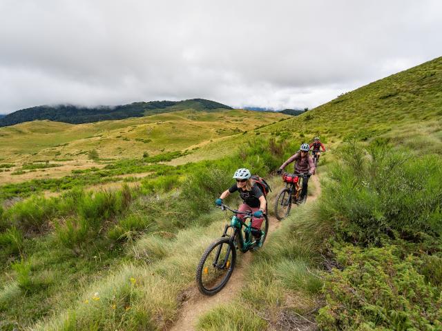 Three mountain bikers on a trail