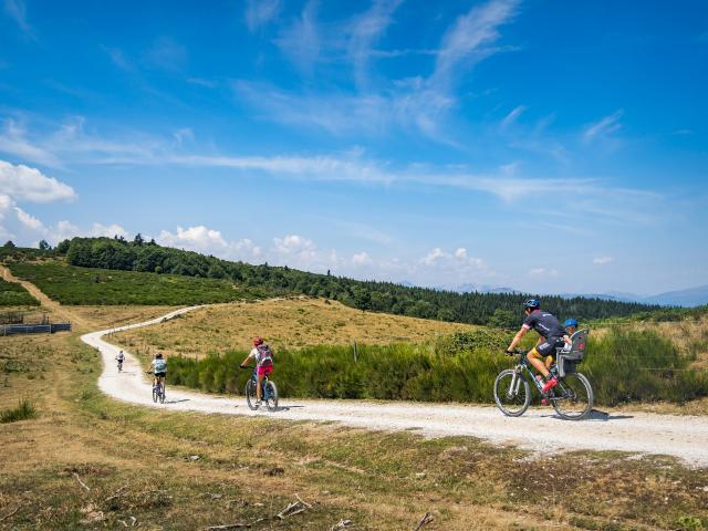 Four cyclists on a mountain trail
