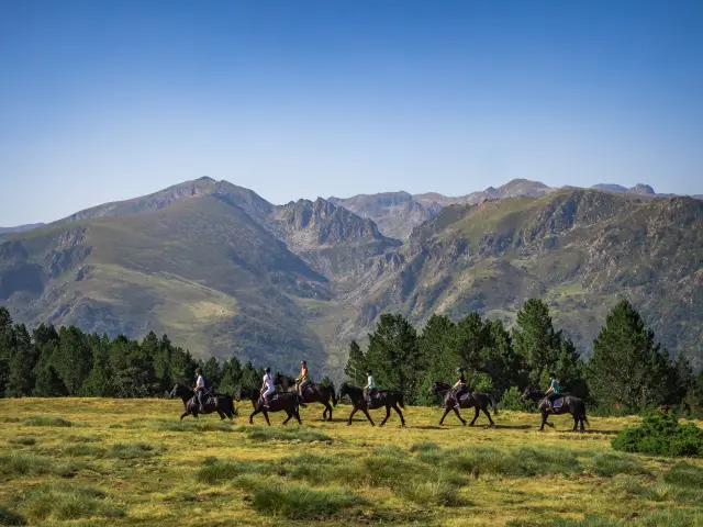 Un groupe de cavaliers traverse un champ avec des montagnes en arrière-plan