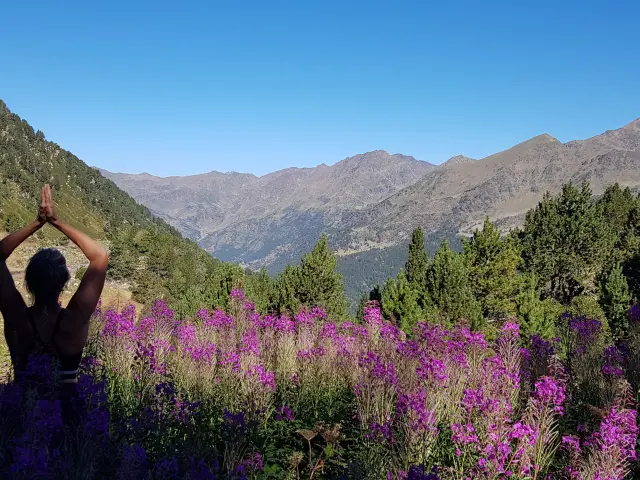 Personne pratiquant le yoga devant un paysage montagneux