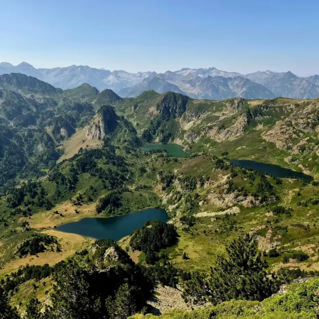Instagram #pyreneesariegeoises