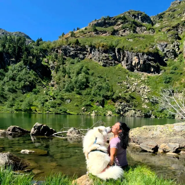 Instagram #pyreneesariegeoises