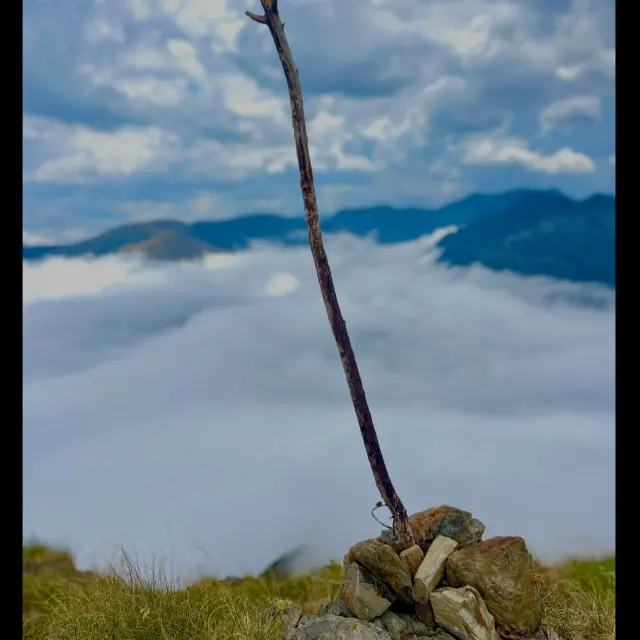 Instagram #pyreneesariegeoises