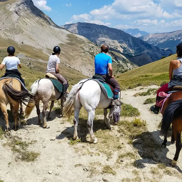 Instagram #pyreneesariegeoises