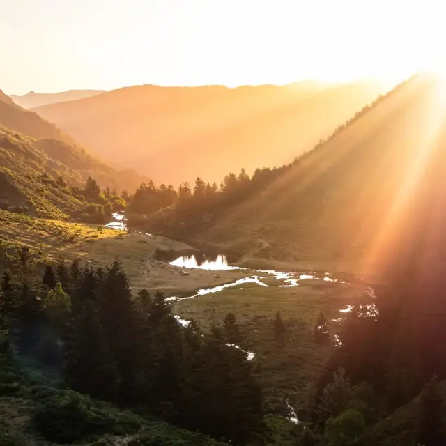 Instagram #pyreneesariegeoises